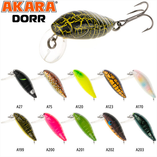 Akara Dorr 30F 