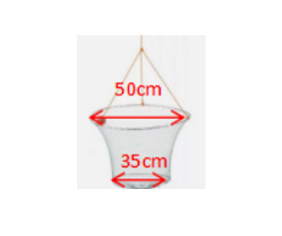 Vēžu krītiņš 50-35 H-35cm