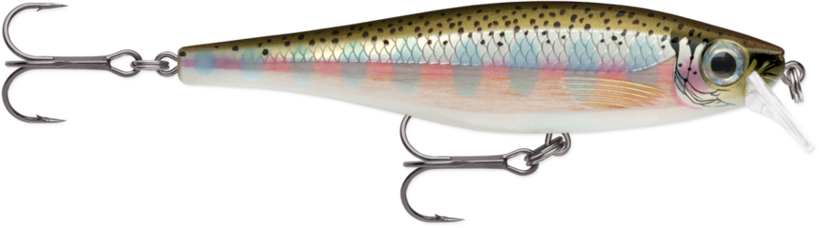 Vobleris Rapala BX Minnow BXM10-RT (10cm, 12g, 0.9-1.5m, Floating)