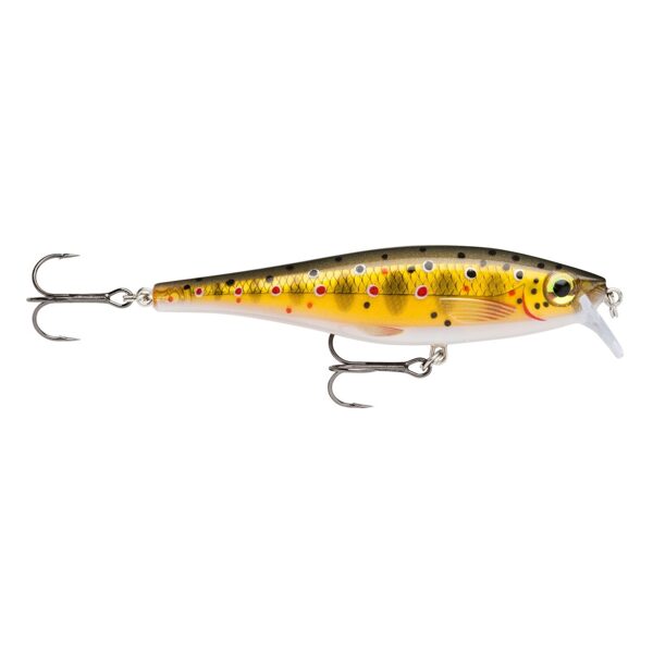 Vobleris Rapala BX Minnow BXM10-TR (10cm, 12g, 0.9-1.5m, Floating)