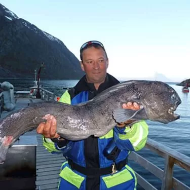 E-FreeFish