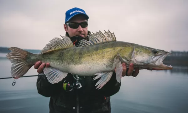 Shimano Spinnings